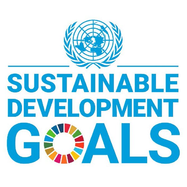 MAWHC 2024 - SDG Logo